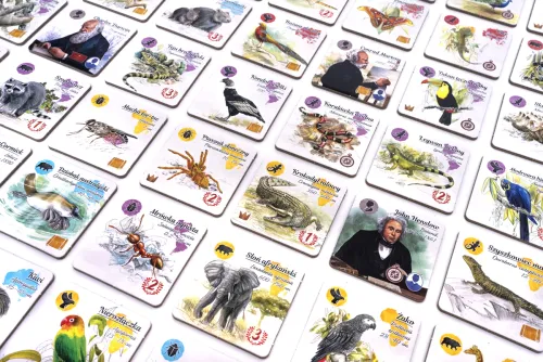 Śladami Darwina Prosta i przyjemna gra rodzinna zbieranie zestawów kafelków na Arena.pl