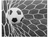 40X50CM PIŁKA BRAMCE OBRAZ