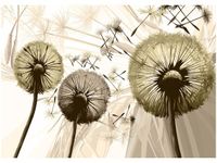 60CM 50CM OBRAZ ŚCIENNY DMUCHAWCE SEPI DRUK PŁÓTNO