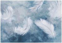 Fototapeta Na Flizelinie Do Sypialni Salonu Pióra 350x250