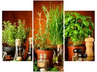 product-compare-58711462