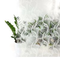 Folia Okleina Okienna Samoprzylepna Na Szyby DMUCHAWCE 67x200 I27