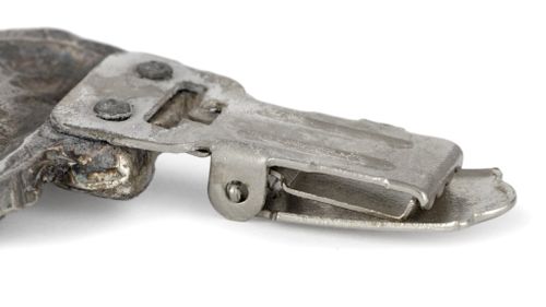 Beagle - klips - 2575 na Arena.pl