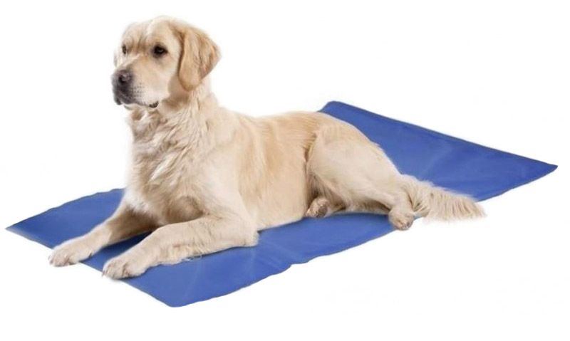 Żelowa Mata Chłodząca Dla Zwierząt 50X65 Cm Niebieska zdjęcie 5