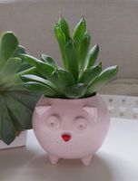 Mała różowa doniczka ceramiczna kot Kizior - Rękodzieło - Lamabo