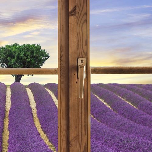 Deco Panel, Okno - pole lawendy 60x40 na Arena.pl