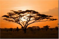 product-compare-58694036