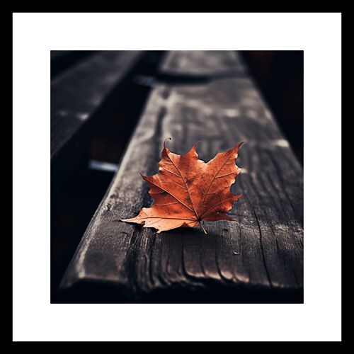 Plakat 20x20cm Pojedynczy Liść na Arena.pl