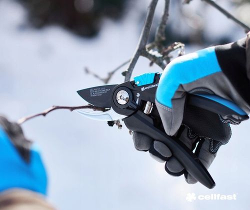 Sekator Ogrodowy Do Krzewów Gałęzi Nożyce Ręczne Kowadełkowe Cellfast na Arena.pl