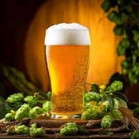 Zestaw surowców (słody) - BITTER 9 blg 20 litrów piwa