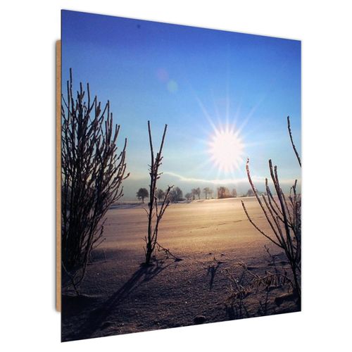 Deco Panel, Pustynne słońce 30x30 na Arena.pl