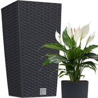 Duża Doniczka Donica Zewnętrzna Rattanowa Antracytowy Z Wkładem Wysoka