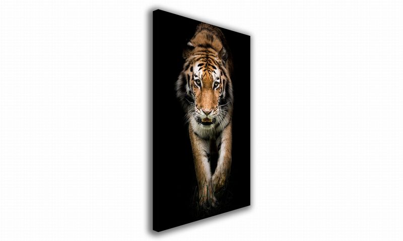 OBRAZ NA PŁÓTNIE 145 Tygrys 30x40cm zdjęcie 1