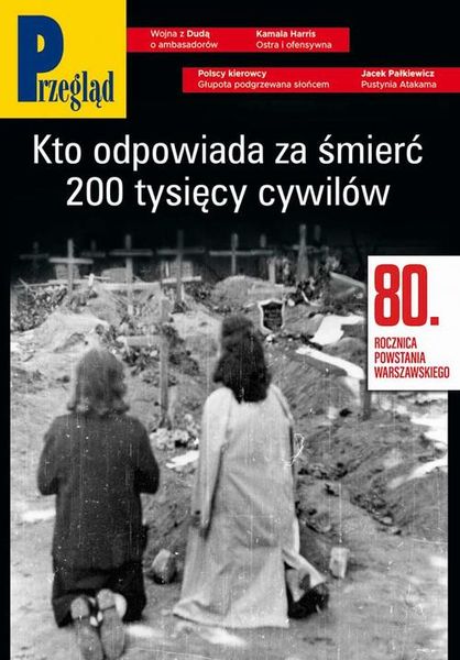 (pdf) Przegląd. 31 zdjęcie 1