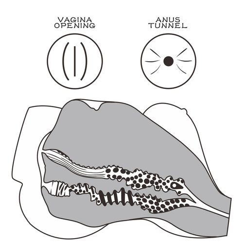 Streetgirl's #7 na Arena.pl