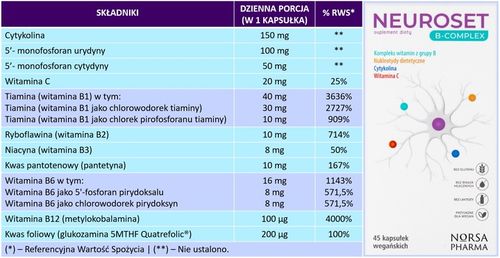Norsa Pharma NEUROSET B-Complex | B - kompleks | układ nerwowy | 45 kaps. na Arena.pl