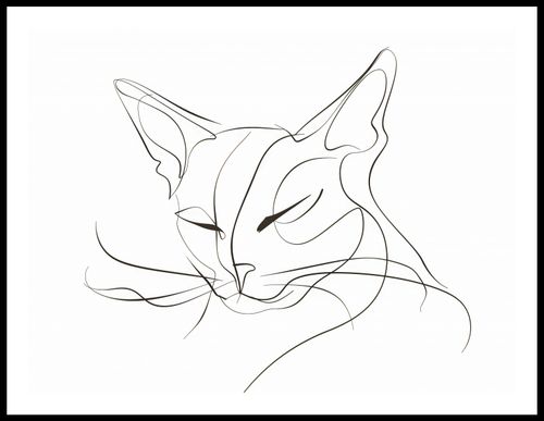 Plakat 80x60cm Linijny Kot na Arena.pl