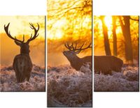 70 90CM OBRAZ 3 ELEM JELENIE ŚCIENNY PŁÓTNO