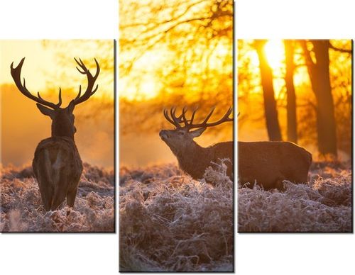 70 90CM OBRAZ 3 ELEM JELENIE ŚCIENNY PŁÓTNO na Arena.pl