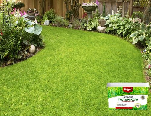 NAWÓZ WIOSENNY DO TRAWNIKÓW REGENERUJE TARGET 8 KG na Arena.pl