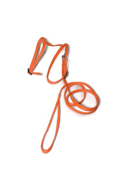 A-059 KOMPLET DLA KOTA V.2 Kolor - Pomarańczowy zdjęcie 1