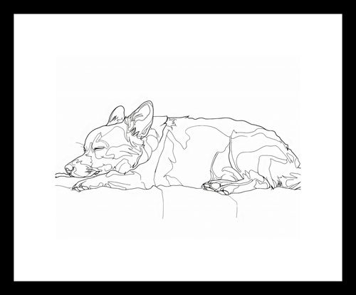 Plakat 20x15cm Śpiący Psiak na Arena.pl