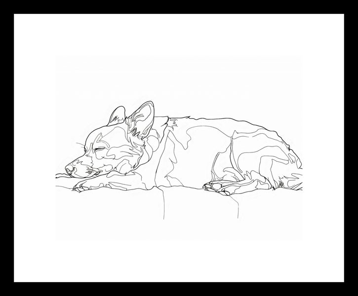 Plakat 20x15cm Śpiący Psiak zdjęcie 3