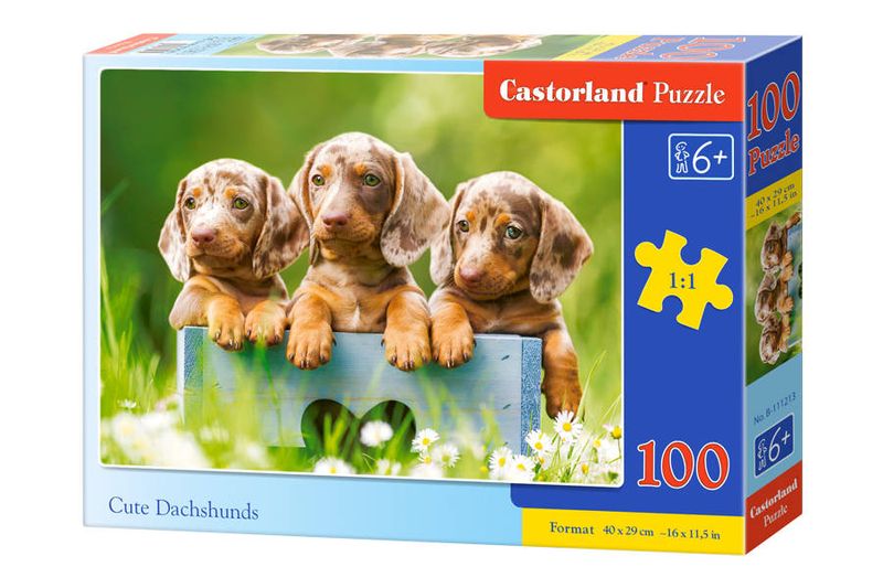 Puzzle 100 el. Cute Dachshunds zdjęcie 1