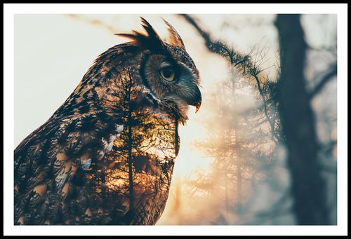 Plakat 91,5x60cm Sowi Duch na Arena.pl