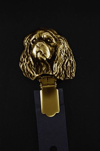 Cavalier King Charles Spaniel - klips - 1034 na Arena.pl
