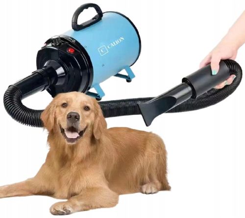 Suszarka do sierści dla psa i kota na Arena.pl