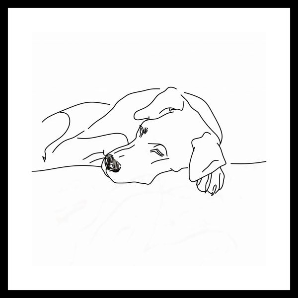 Plakat 30x30cm Wypoczynek Psiaka zdjęcie 3