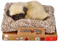 Piesek szczekający Mops Mini Maskotka Szczeniaczek Perfect Petzzz
