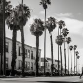 Plakat 50x50cm Spacer w Cieniu Palm