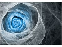 OBRAZ DRUK BLUE ROSE