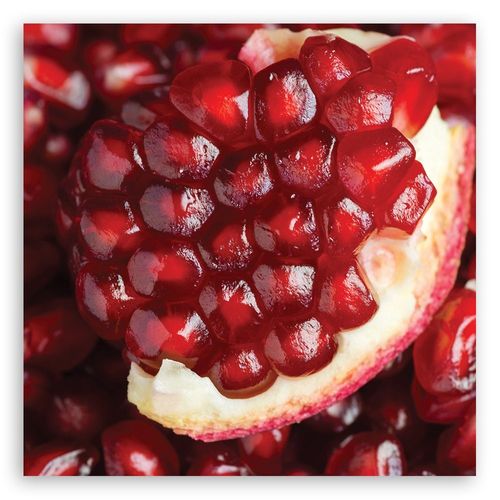Emaga Obraz na płótnie, Granat owoce - 50x50 na Arena.pl