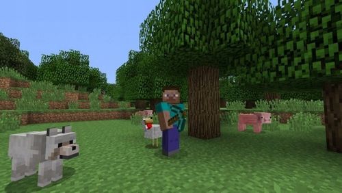 Minecraft gra na PS5 na Arena.pl