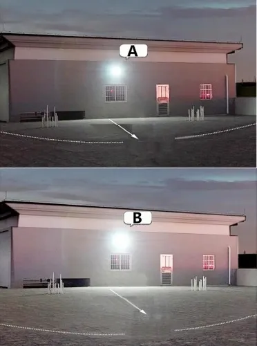 HALOGEN Naświetlacz LAMPA LED 20W IP65 Reflektor na Arena.pl