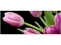 100X40CM FIOLETOWE TULIPANY OBRAZ DREWNO