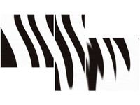 90X50CM POPASKOWANE TRÓJ OBRAZ ŚCIANY