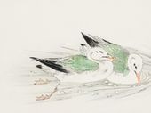 Plakat 20x15cm Gull, Kashu Japoński Vintage do Salonu
