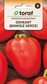 Pomidor gruntowy OXHEART (Bawole Serce) nasiona 0,5 g.