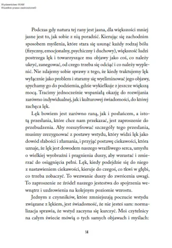 Mądrość lęku. Jak zamienić zmartwienia... na Arena.pl