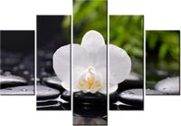 product-compare-58696433