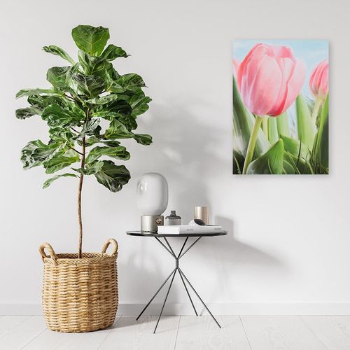 Deco Panel, Różowy tulipan 60x80 na Arena.pl