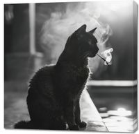 Obraz 90x90cm Kocia Przerwa