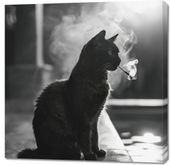 Obraz 90x90cm Kocia Przerwa