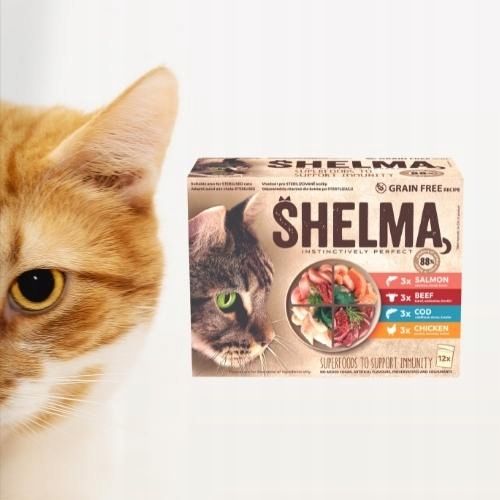 SHELMA MOKRA KARMA FILECIKI ŁOSOŚ DORSZ WOŁOWINA KURCZAK DLA KOTA 48X85G na Arena.pl