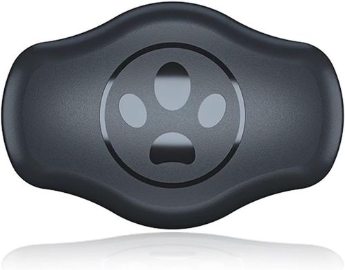 Etui case na lokalizator Apple AirTag na obrożę psa kota GPS na Arena.pl