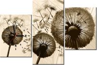 product-compare-58641252